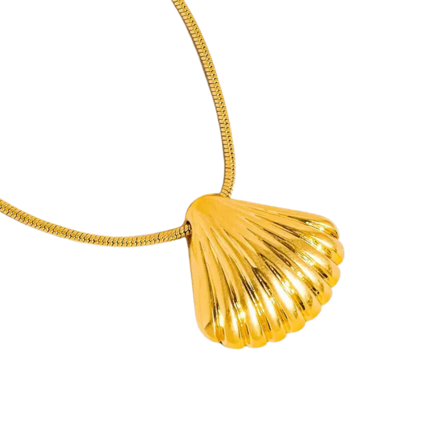 SIRENA SHELL NECKLACE